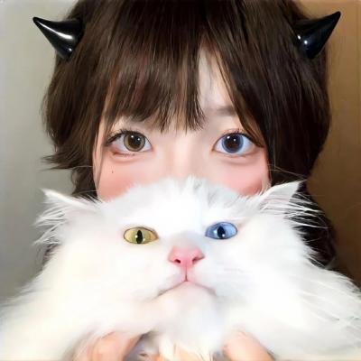 萌犬好声音2